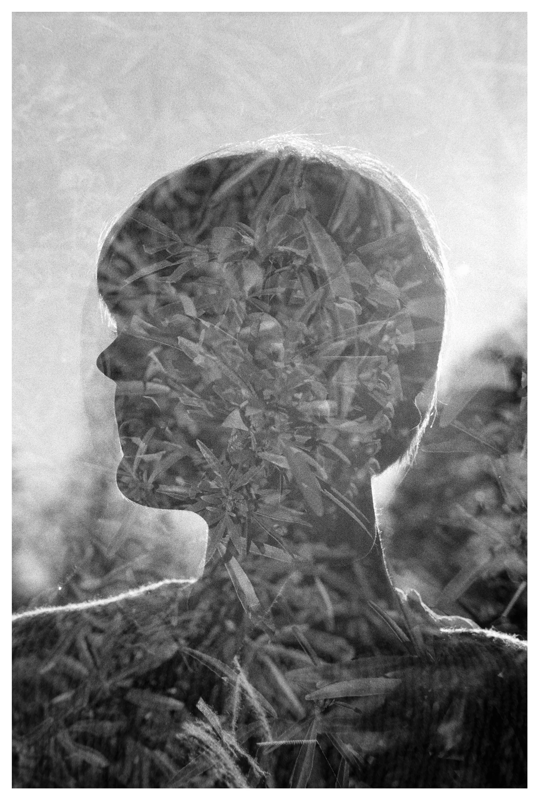 Black and white double exposure of a woman's silhouette overlaid with dense foliage, leaves and the Vancouver skyline.