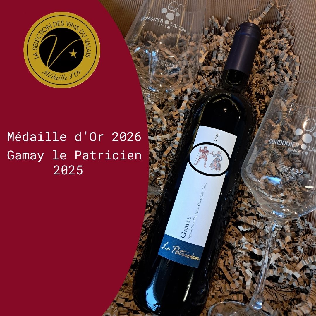 De l'Or pour notre Gamay le Patricien 2025