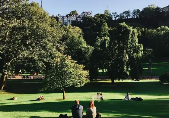 Park with buildings in background