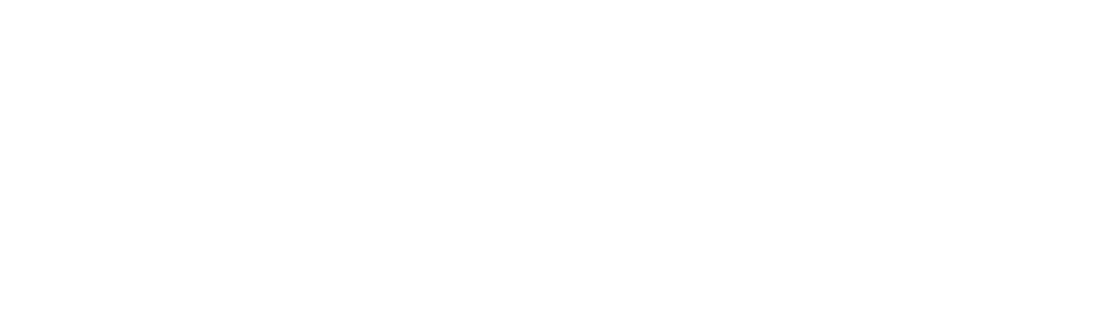 Penguin Strategies Logo