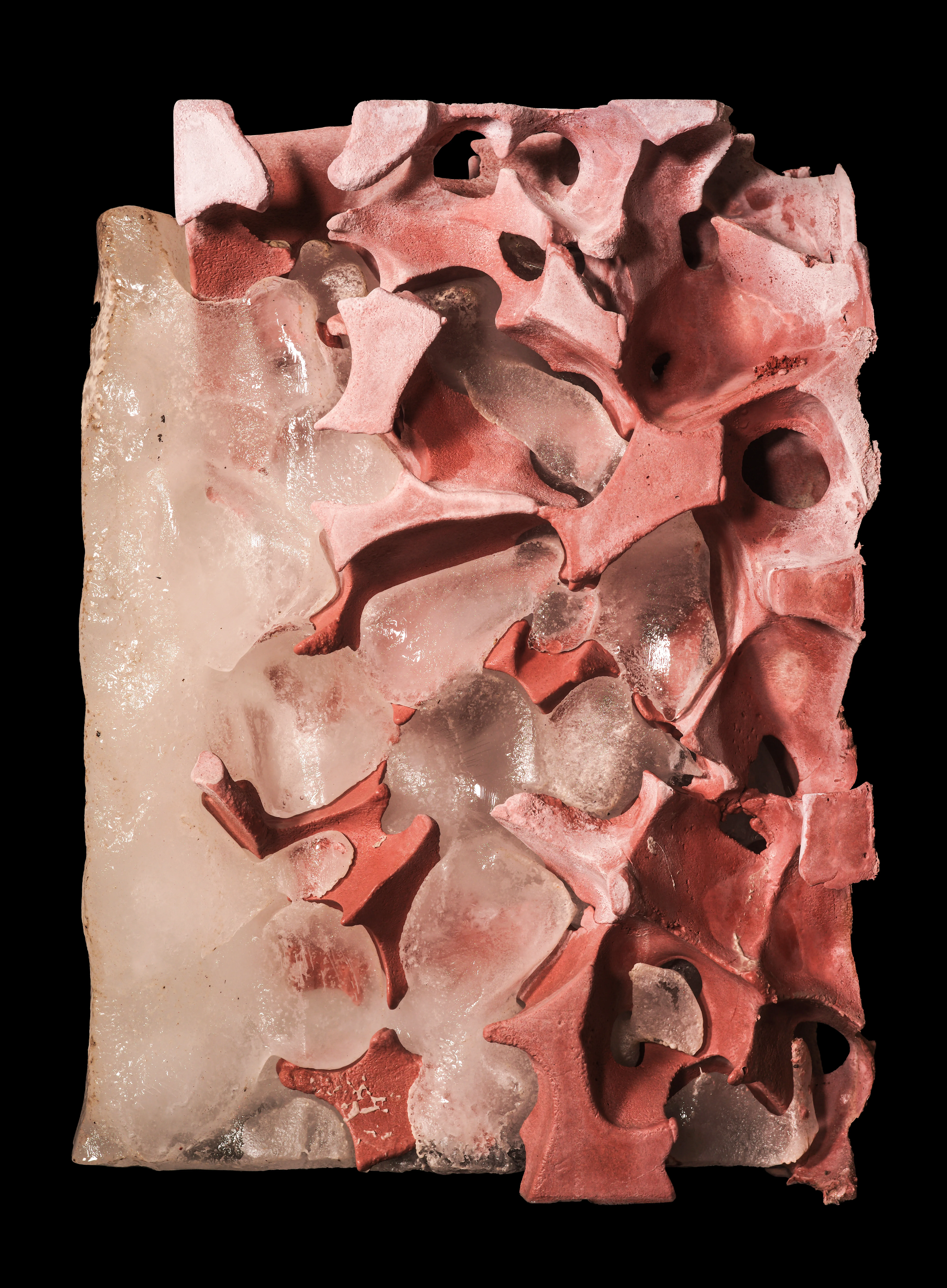  Ark Factory. Photo by SUPERFLEX 