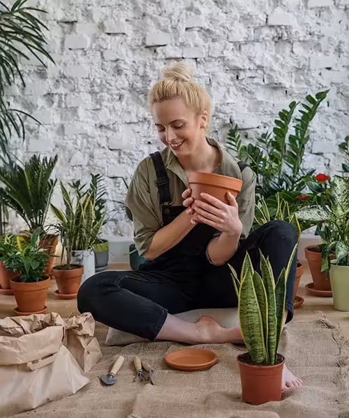 A woman caring for potted plants. The scene metaphorically depicts the development and improvement of logistics/sales for Pemicont, achieved through the integration of a new web system with Plentymarkets and Baselinker.