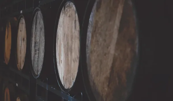Barrels with beer 3