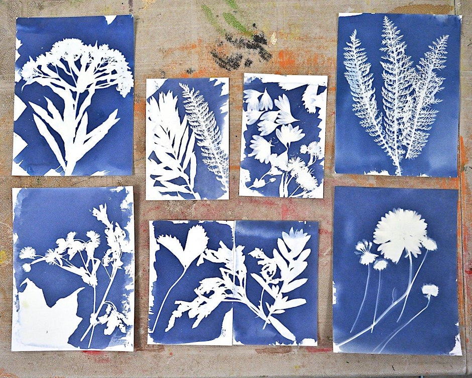 Botanical Cyanotype Printmaking