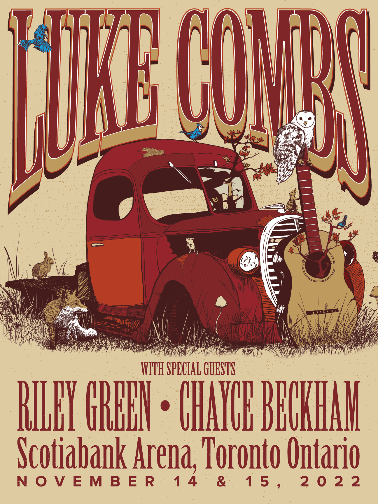 Designer / Director / Illustrator