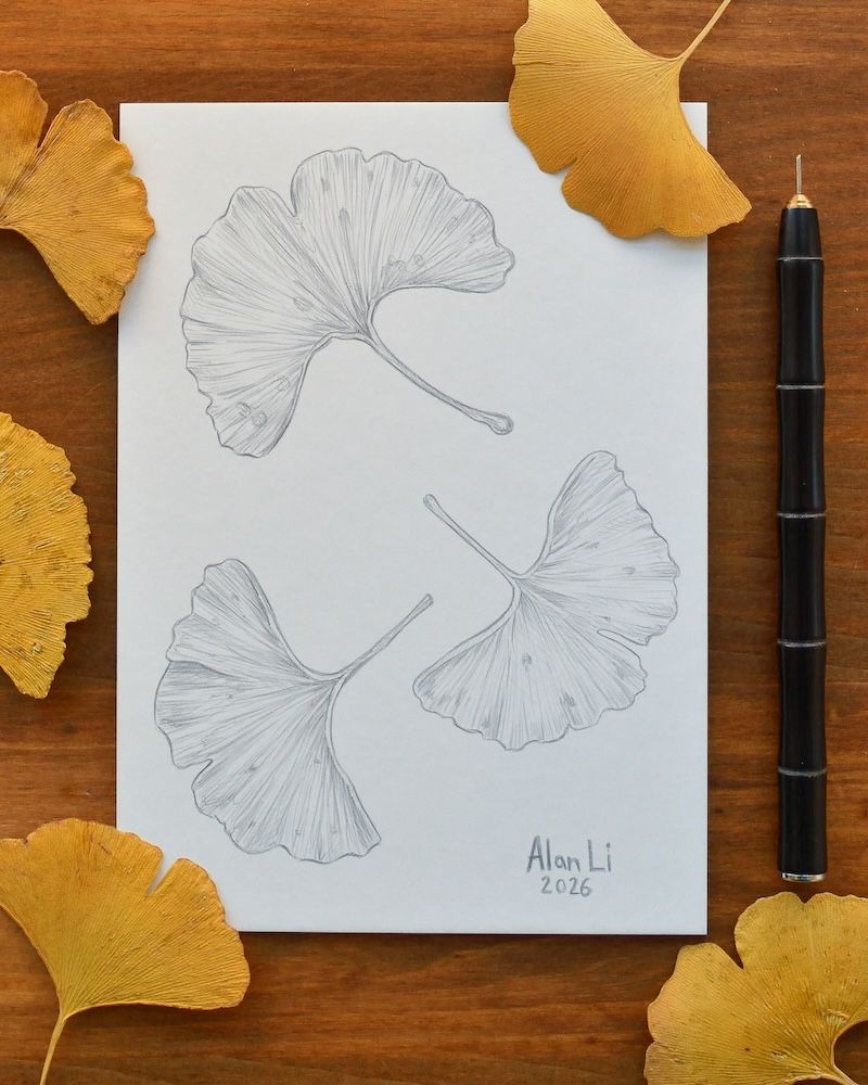 Intro to Silverpoint Drawing