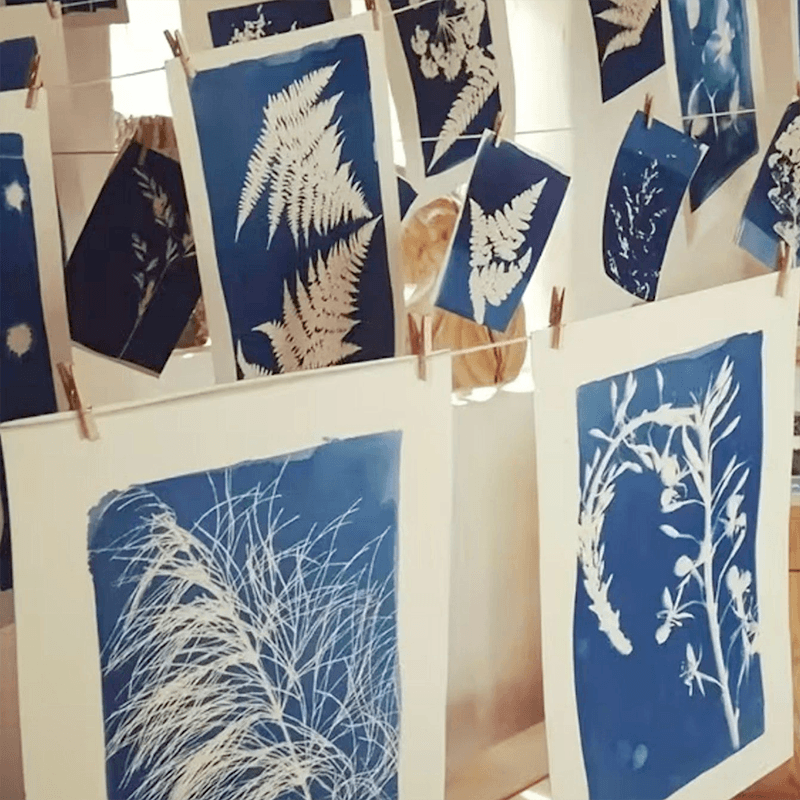 Cyanotype & Early Photography: Botanical Sun Printing Workshop