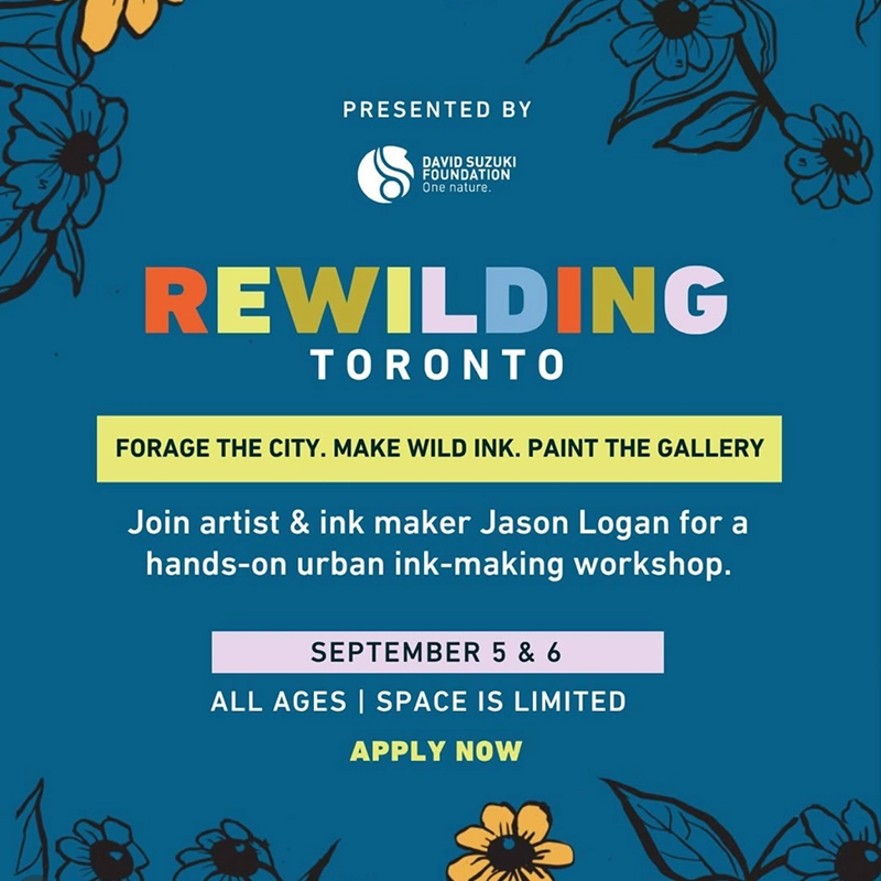 Rewilding Toronto Foraging & Ink-Making Workshop