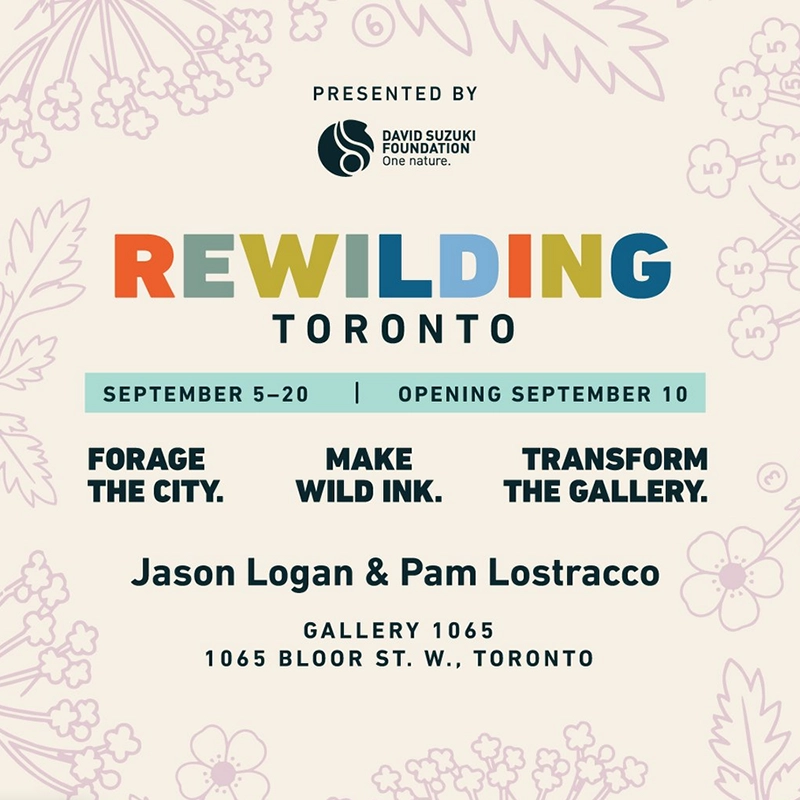 REWILDING TORONTO: Opening Celebration