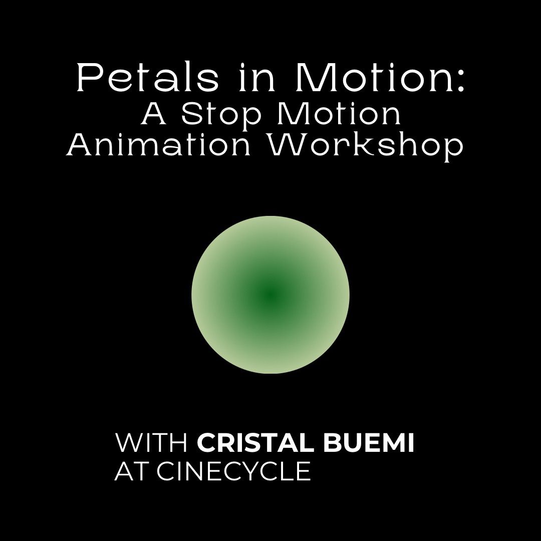 Petals in Motion: a stop motion animation workshop 