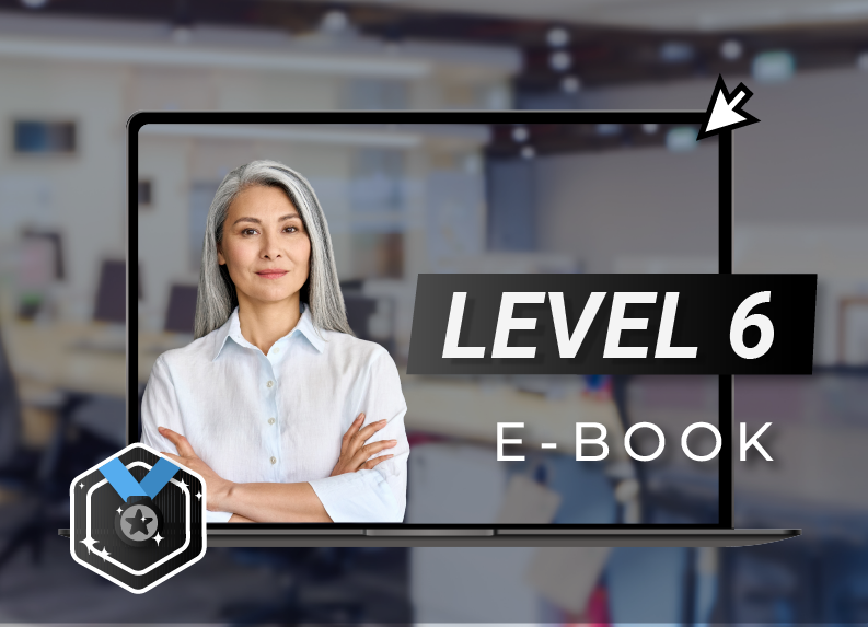 level 6 e-book