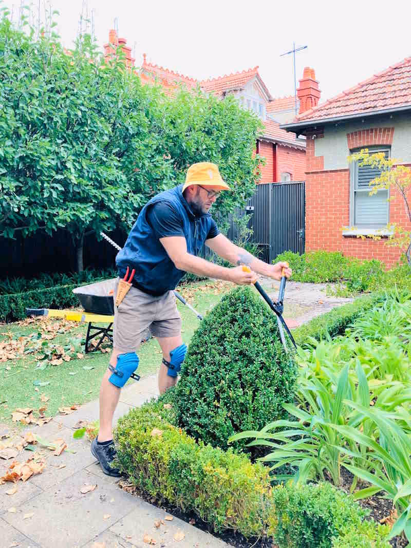 Pruning and detailing one of the houses in Malvern that we do maintenance.