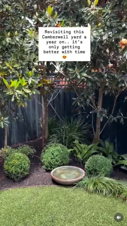 Returning to Camberwell and Brighton Garden projects