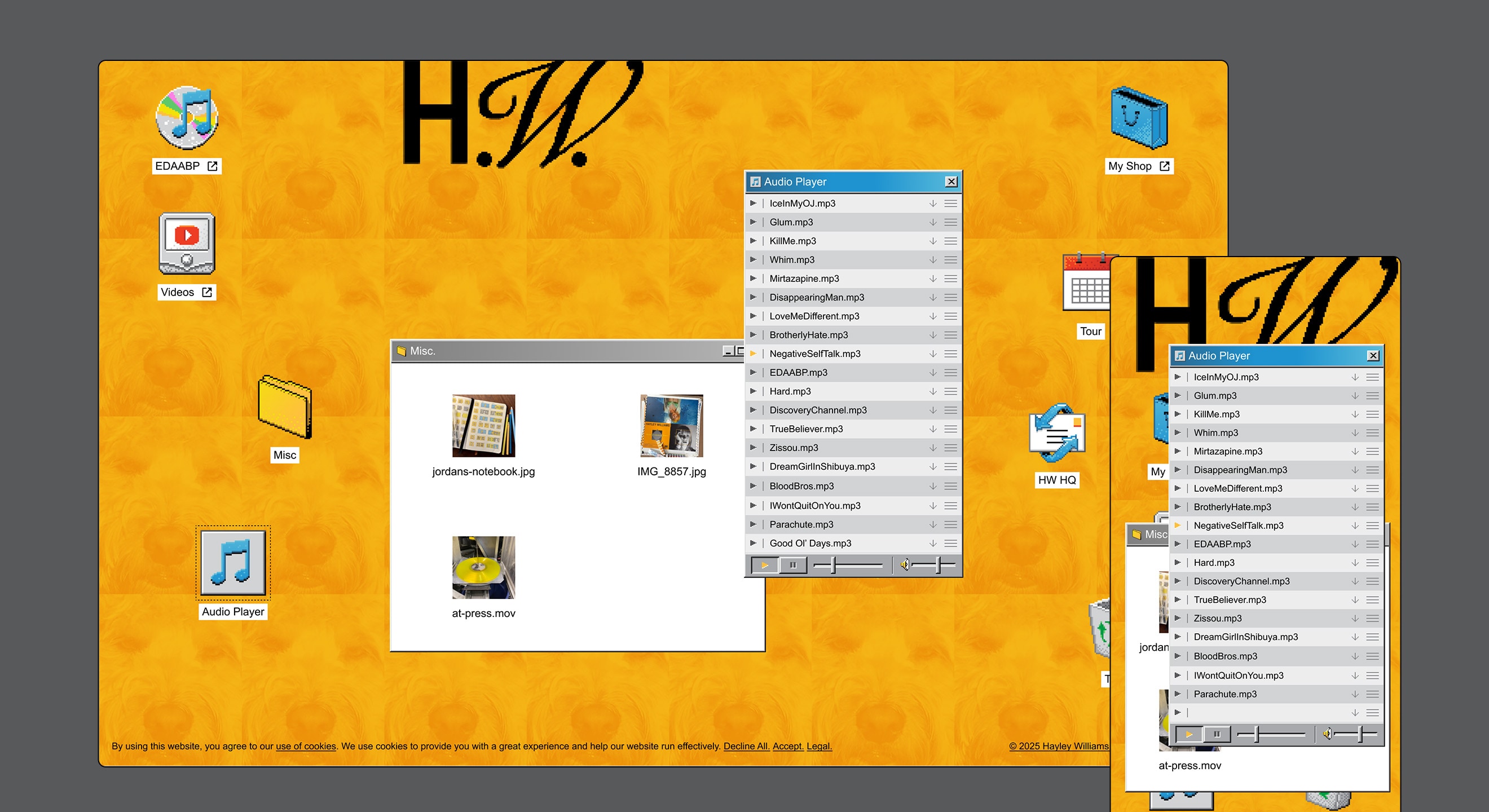 Hayley Williams surprise website development and design