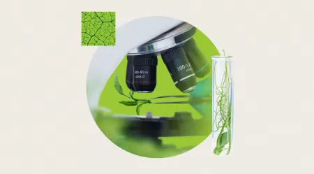 trend report Plant cell culturing: the farming of the future? 
 image for mobile
