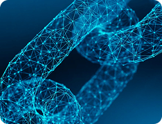 The Adoption of Blockchain in the Public Sector