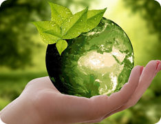 Sustainable Benefits for SMEs