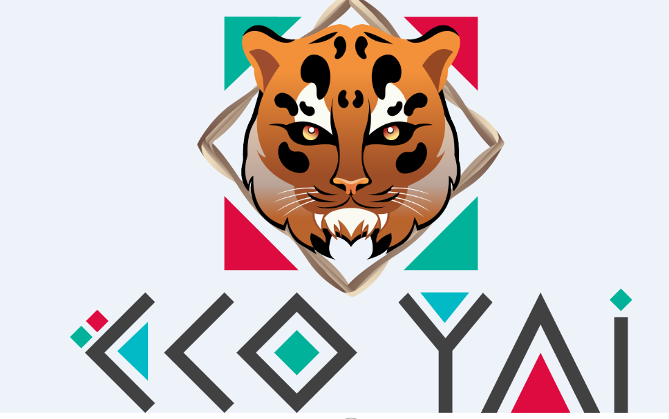 ECOYAI, the Siona school project