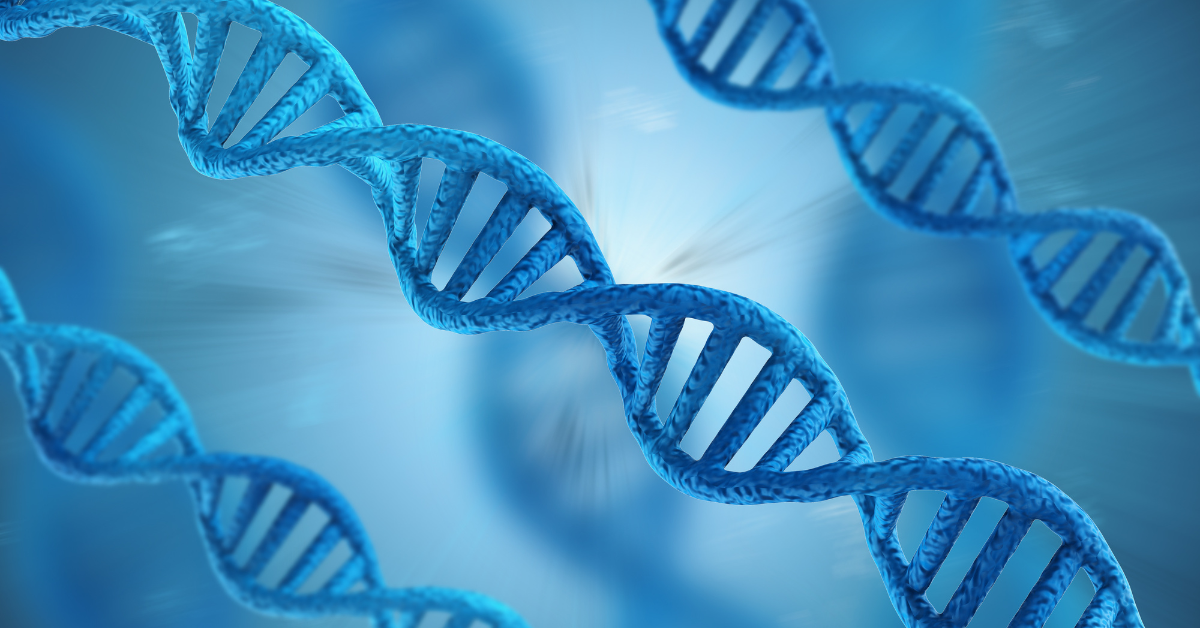 Is Penis Size Genetic? What Science Says About Size, Race, and Global Averages