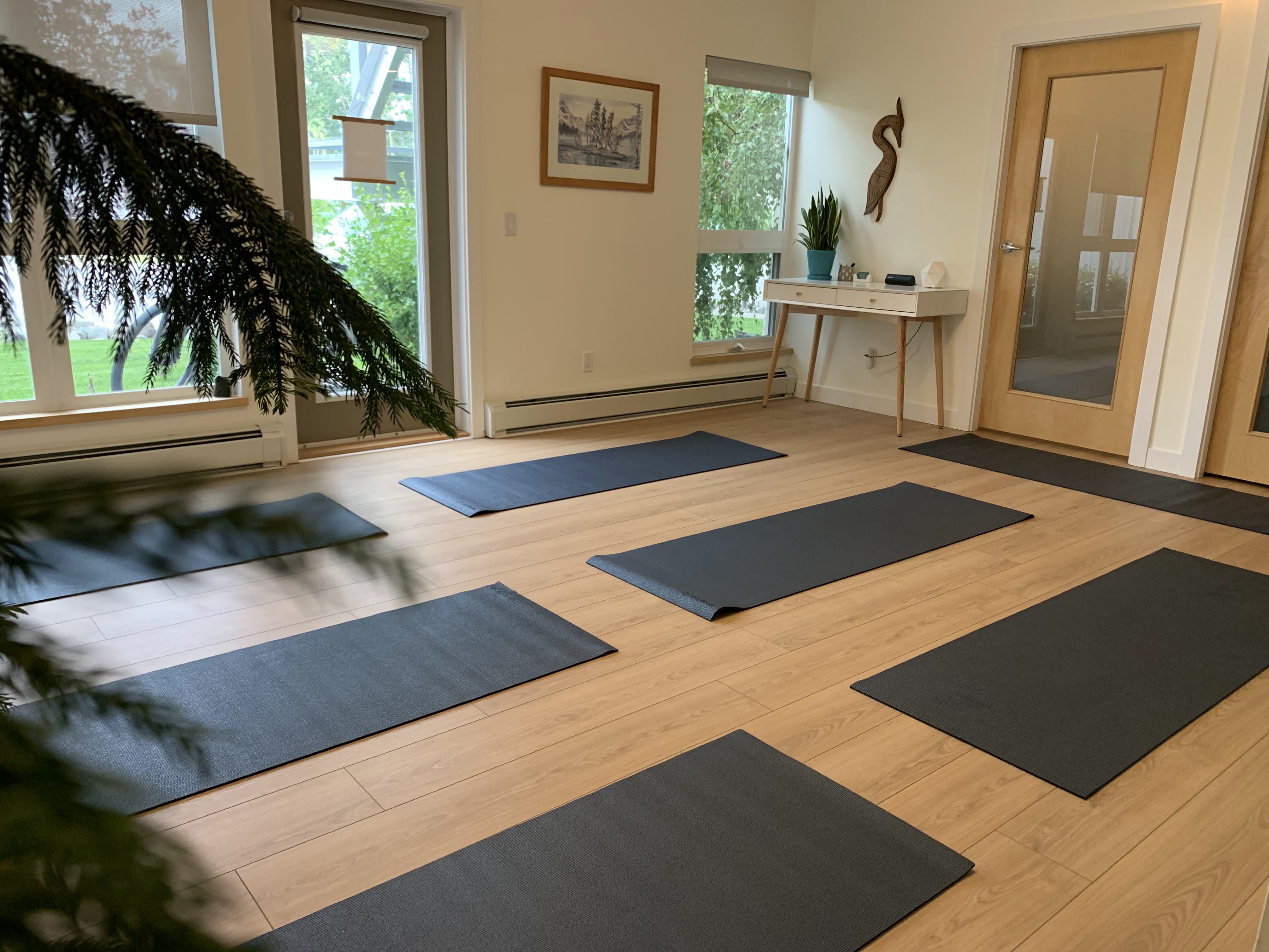 Simple North's yoga studio with yoga mats laid out