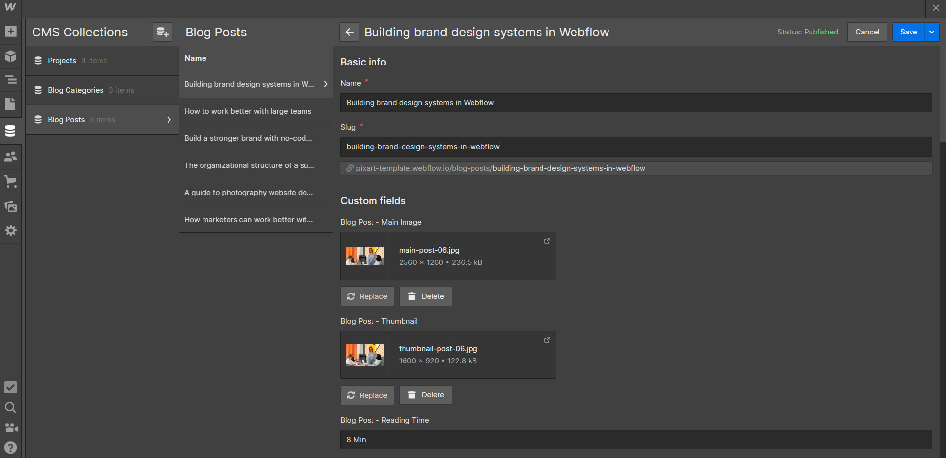 CMS Instructions - Pixart Webflow Template