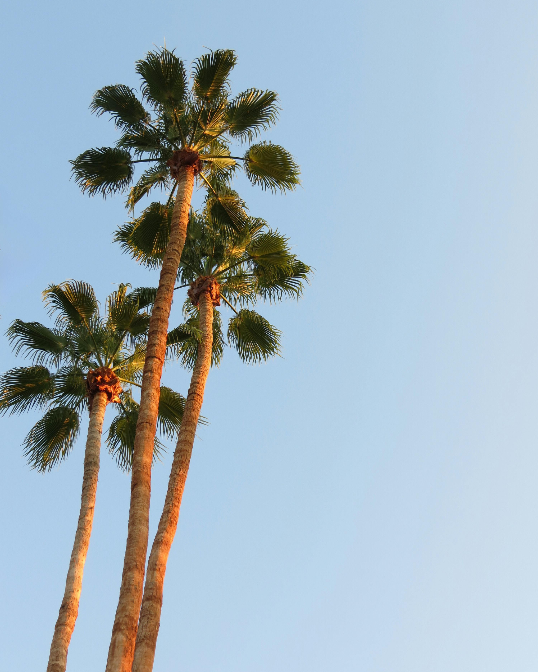 Modern, open-air room with floor-to-ceiling windows overlooking a calm ocean. Wooden lounge chairs facing the water, with tall grasses near the edge.