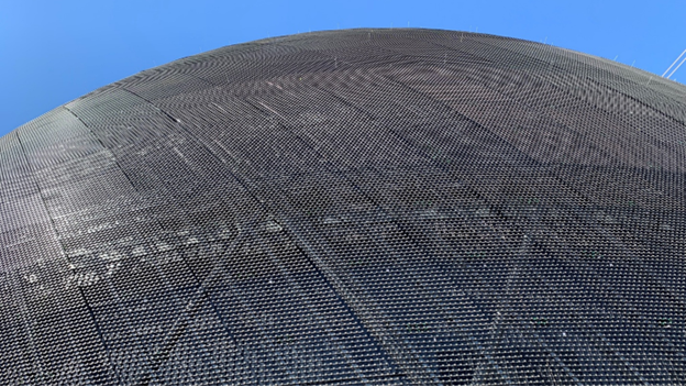 A picture containing sky, gallinaceous bird, outdoor, birdDescription automatically generated