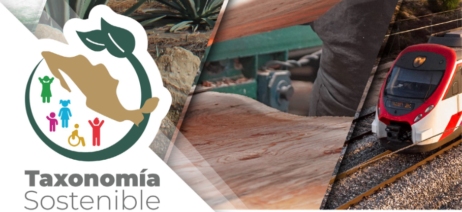 Mexico´s Sustainable Taxonomy