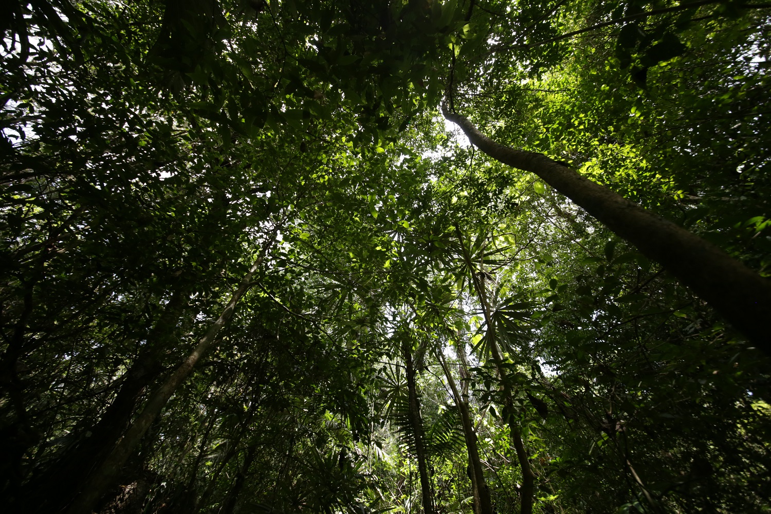 Sustainable Development