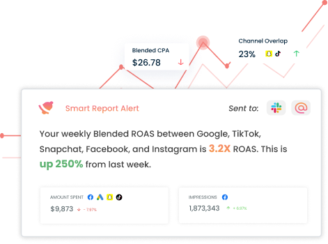 Stiddle Smart Reporting Feature