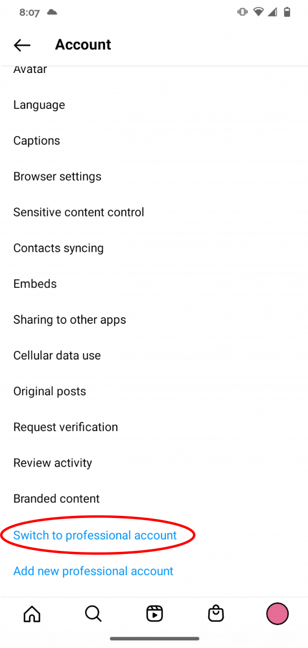 Screenshot: in account settings, tap "Switch to professional account"