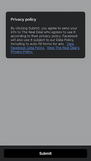 Facebook Ad Lead Form 2