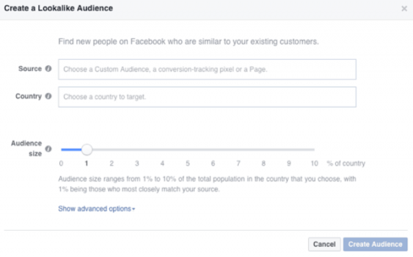  Facebook Lookalike Audience: What Is It?