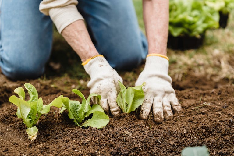 Comprendre l'agriculture raisonnée : une approche durable pour la production alimentaire