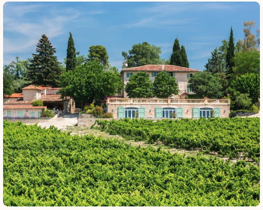 Syrah, Cabernet Sauvignon et Merlot: Trois cépages incontournables du Château des Selves