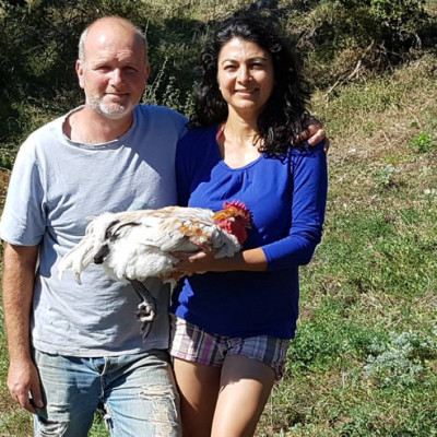 Aviculture à Pierlas : Les Volailles Terre de Toine - Élevage de Poulets Fermiers en Plein Air dans les Alpes-Maritimes