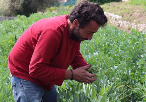 Nicolas Treins : Le Maraîcher Passionné de La Colle-sur-Loup