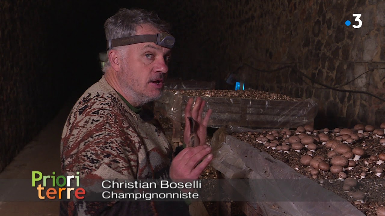 Christian Boselli : La Passion des Champignons et des Légumes d’Ombre 🌿