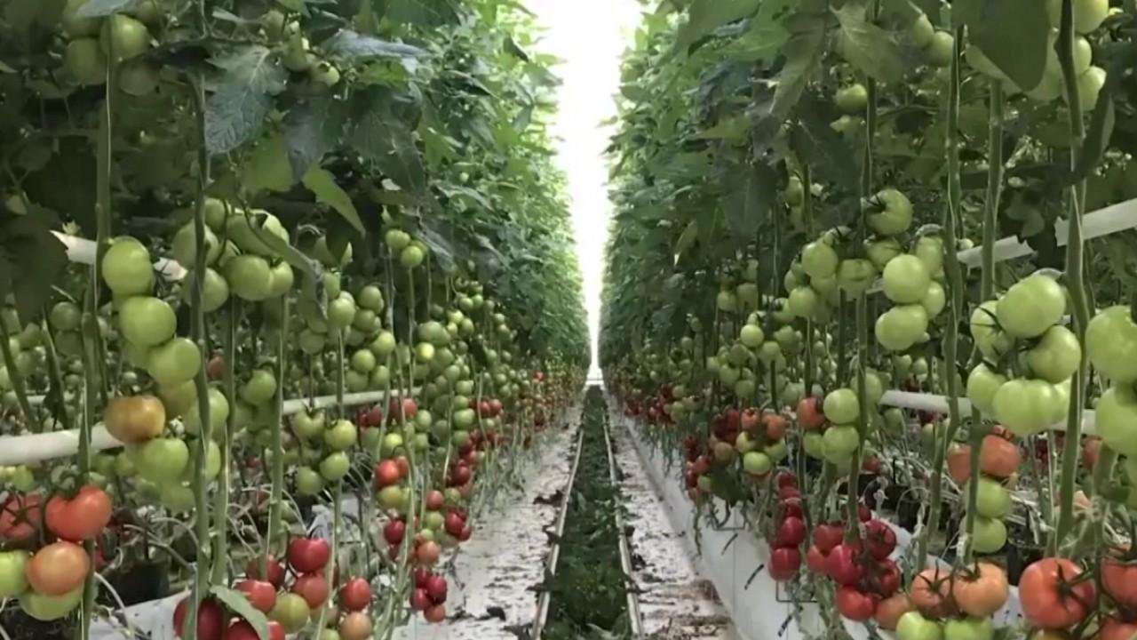 Que se cache derrière le Label HVE ? 🌳