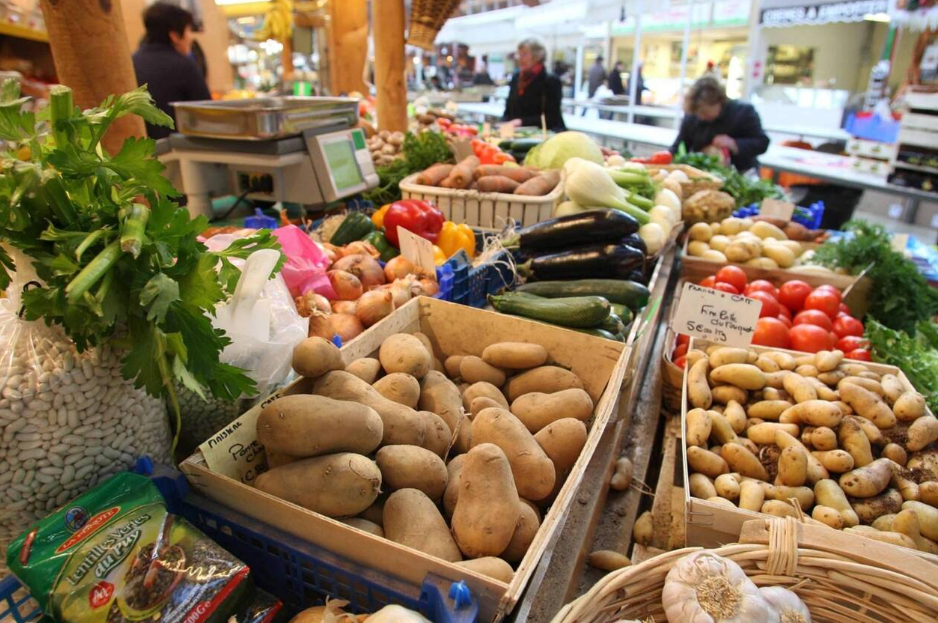 Pourquoi favoriser les circuits courts ? 🚜🍏