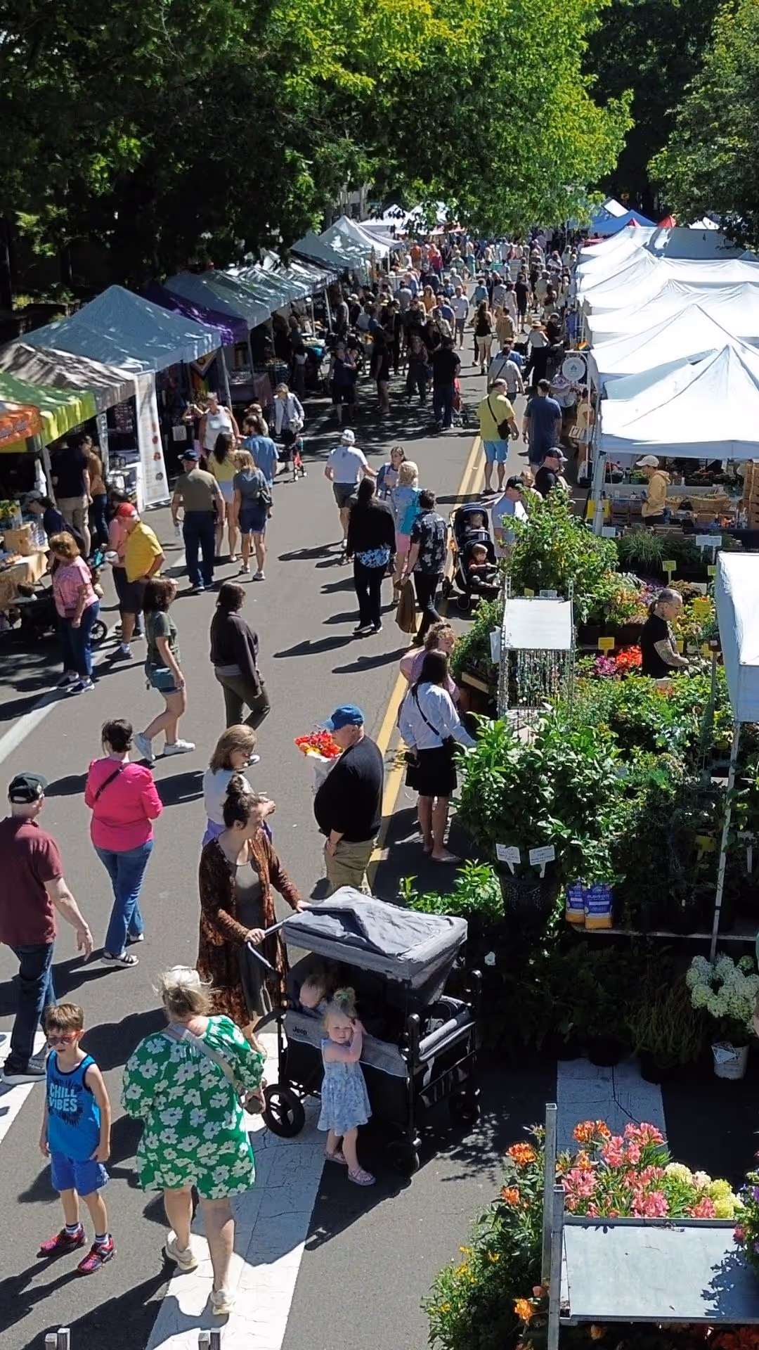 Overhead drone photograph of people at the vancouver farmers market