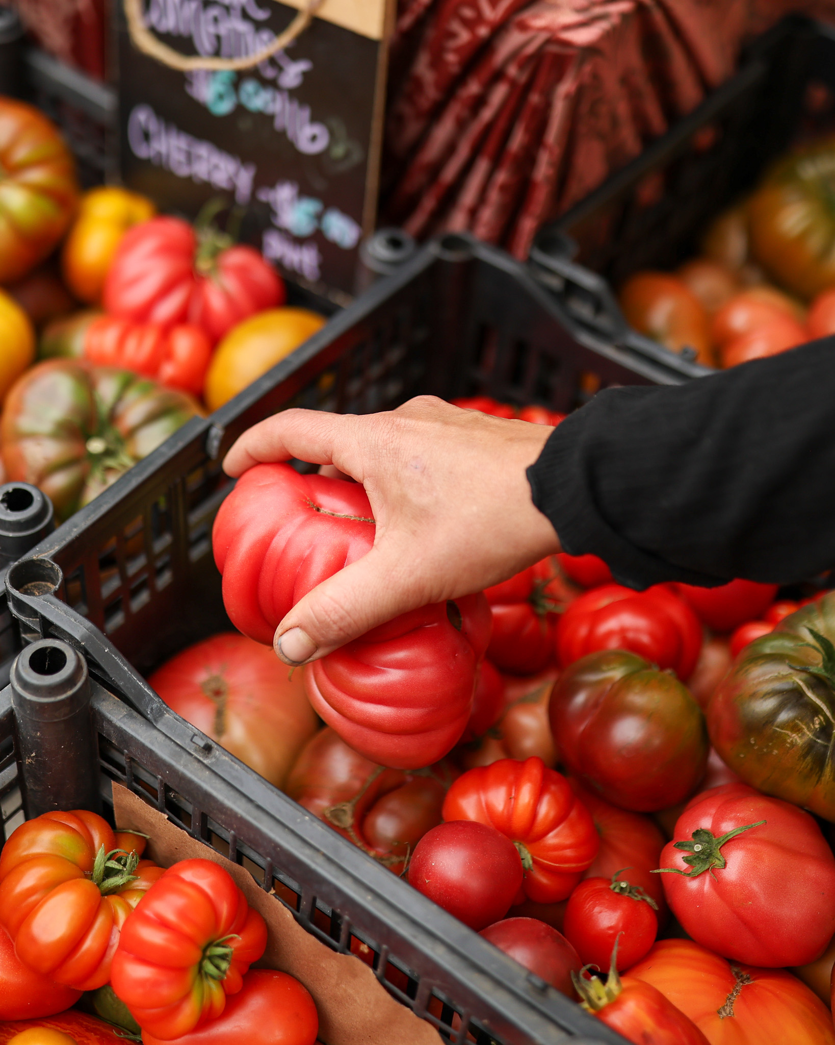 Tomatoes at the Vancouver Farmers Market, photographed by Riparian Media