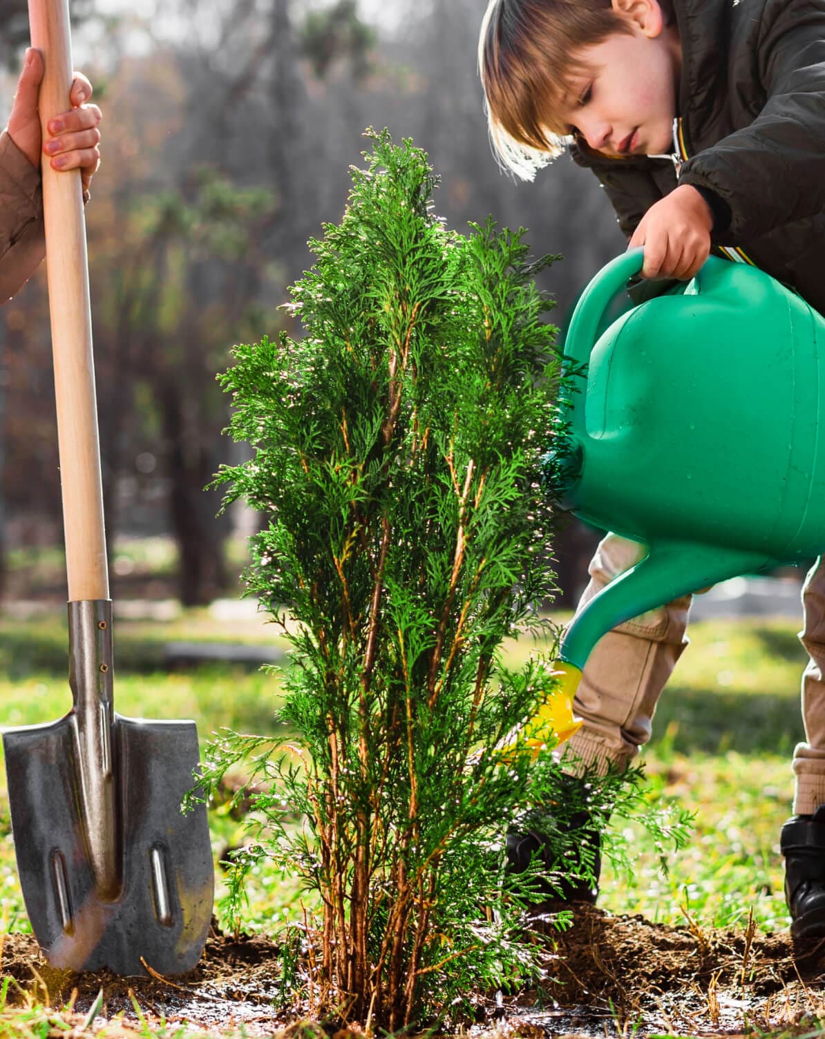 About Us - Donate X Webflow Template