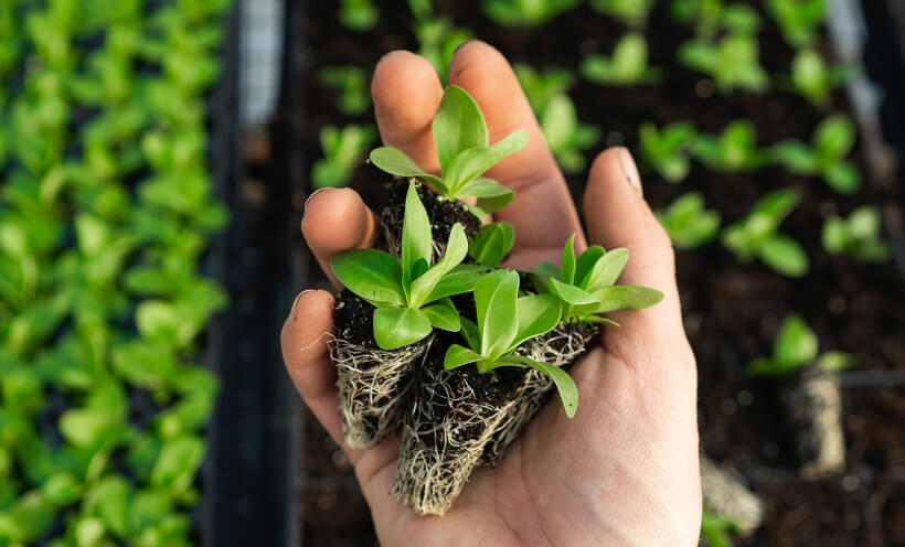 About Us - Donate X Webflow Template