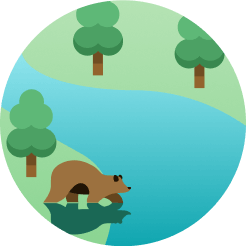 Sustainability - Donate X Webflow Template