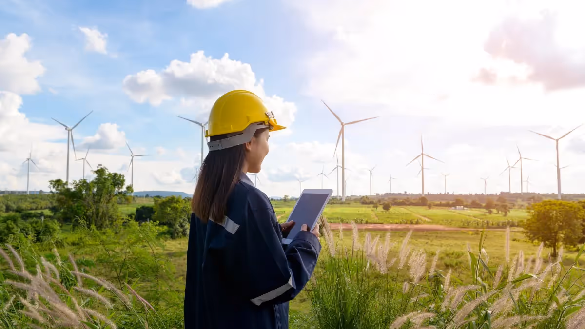 Technician looking at field of wind turbines