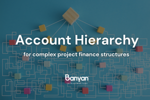 Account Hierarchy for Project Finance