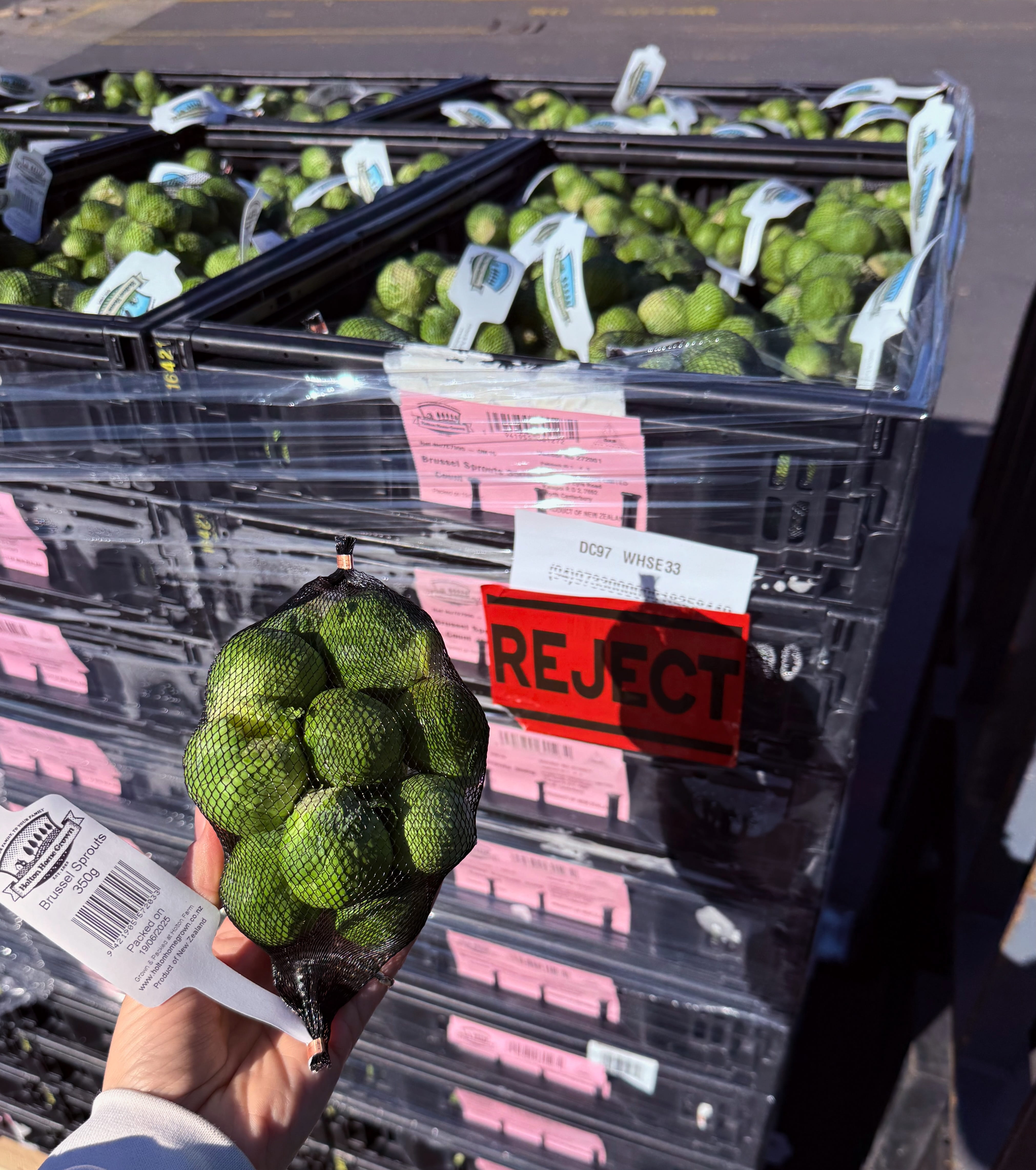 Sprouts having been rejected from retail