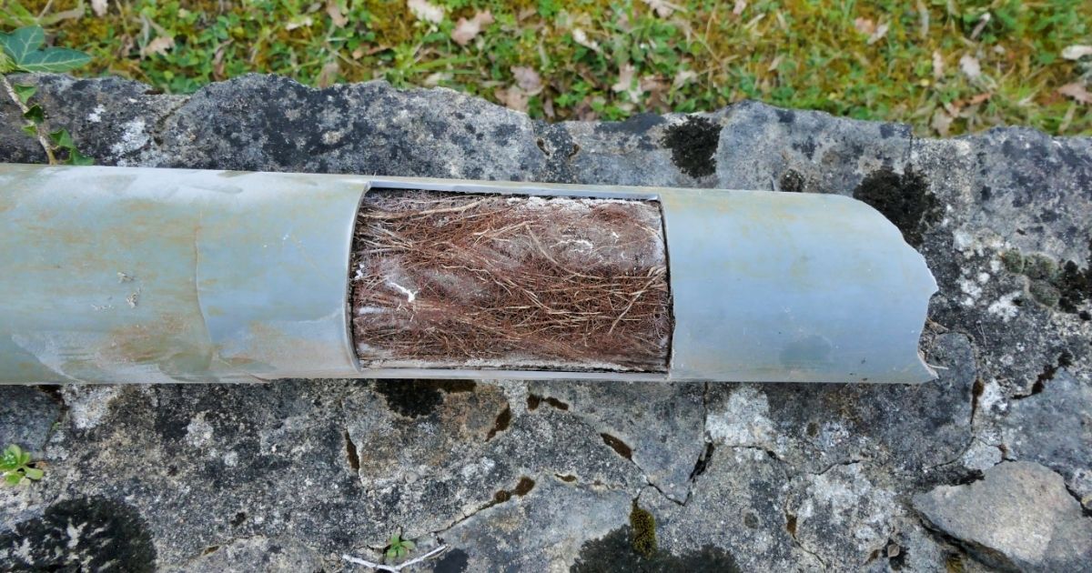 Blocked drainage pipe