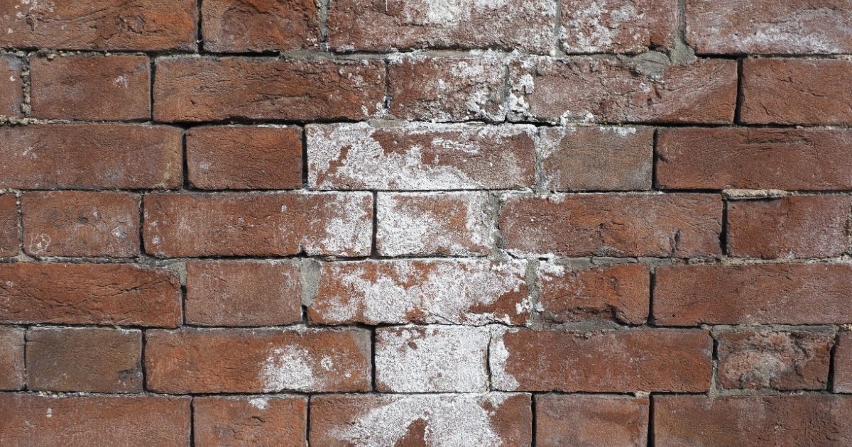 Efflorescence on Brick Wall